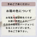 jazz-jzch_chofu_20260222